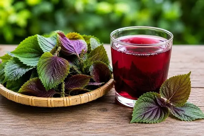Điều trị mụn thịt ở cổ tại nhà đơn giản, dễ làm